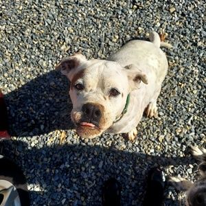 Meet your Posher, Lorinda